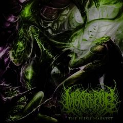 Maleceptor – The Flesh Harvest