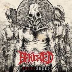 Benighted – Necrobreed