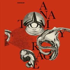 Convulsif – Anatomy Of Rage